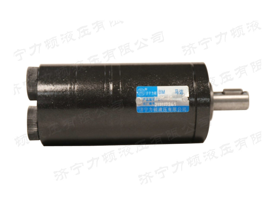 九游(中国)后油口系列马达