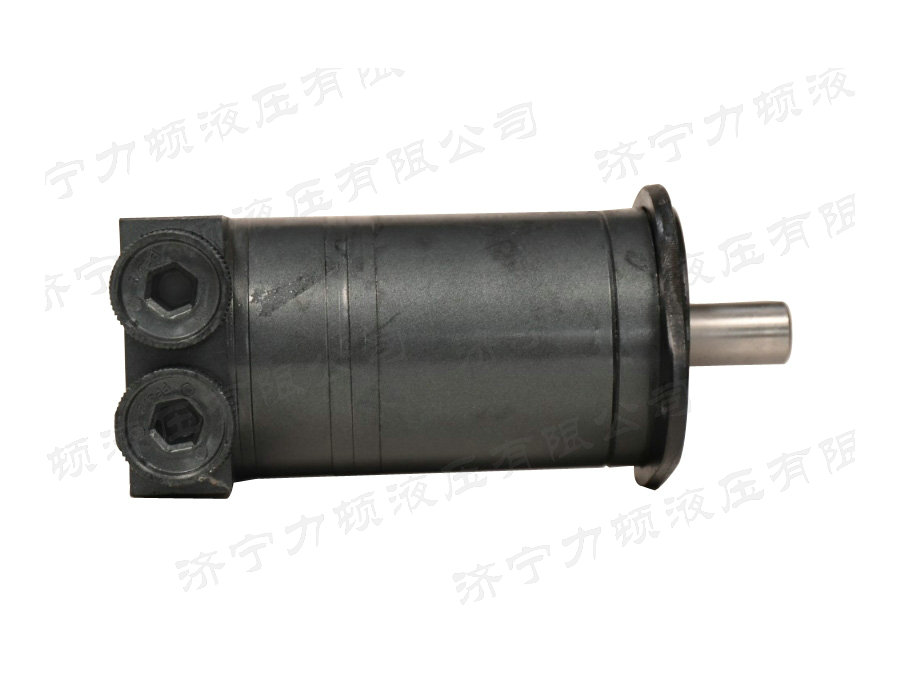 九游(中国)侧油口系列马达