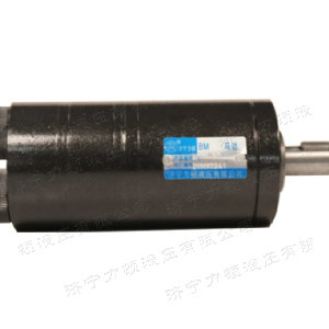 九游(中国)后油口系列马达