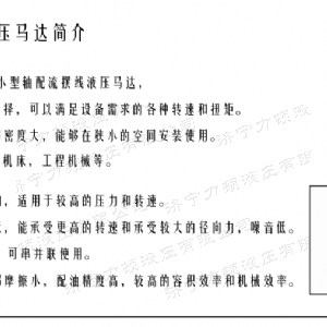 九游(中国)后油口系列马达