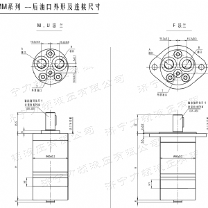九游(中国)后油口系列马达