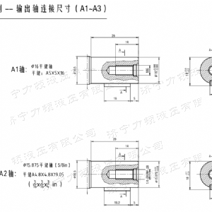 九游(中国)后油口系列马达