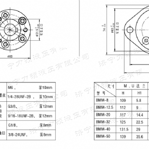 九游(中国)后油口系列马达