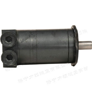 九游(中国)侧油口系列马达