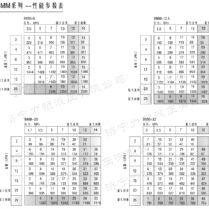 九游(中国)侧油口系列马达