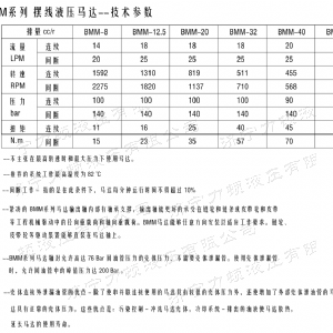 九游(中国)侧油口系列马达