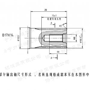 九游(中国)后油口系列马达