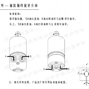 九游(中国)后油口系列马达