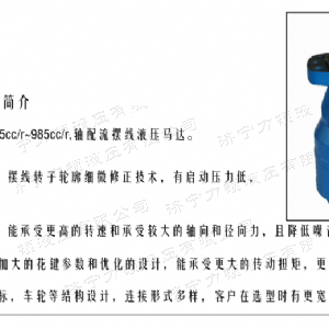 BMH系列并列油口九游(中国)马达