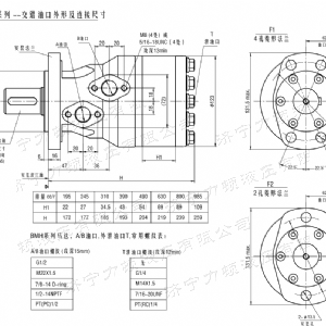 BMH系列交错油口九游(中国)马达